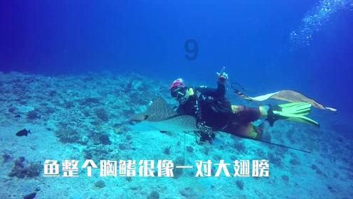 龙里三个项目获省级前期工作专项资金支持
